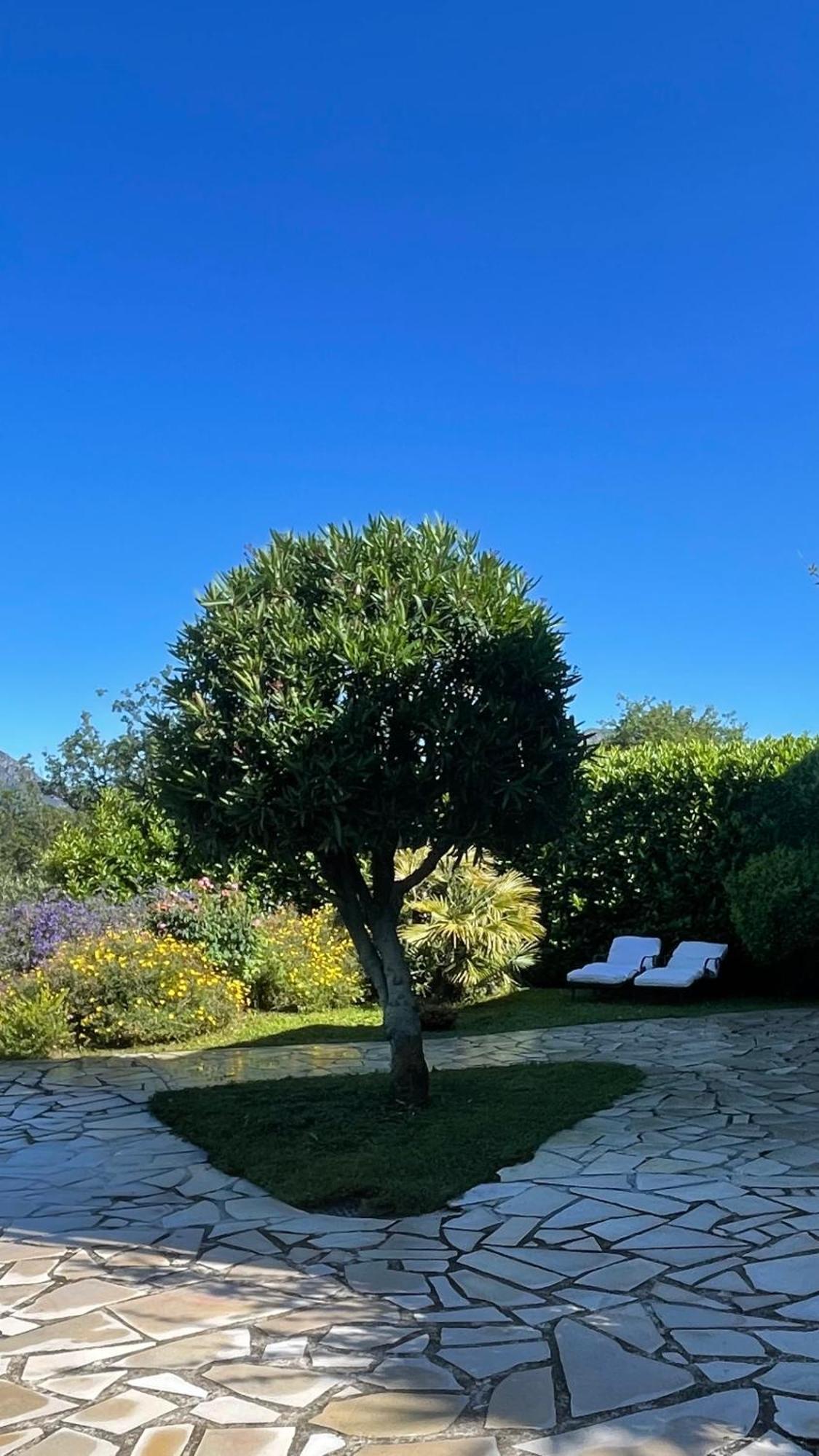 Rez De Jardin, Entre Mer Et Montagne Levens Exterior foto